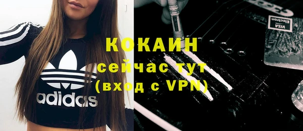 мет Елабуга
