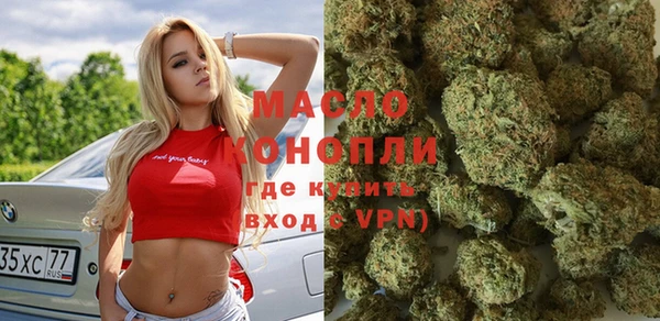 мет Елабуга