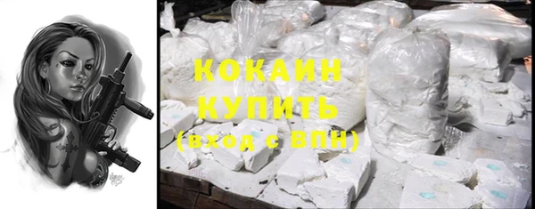 тгк Елизово