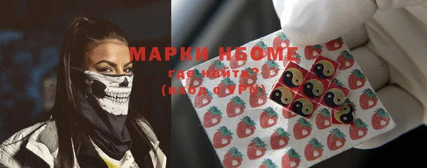 мет Елабуга