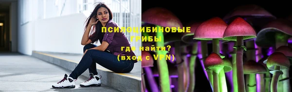 мет Елабуга