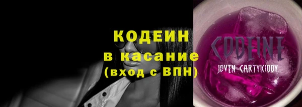 тгк Елизово