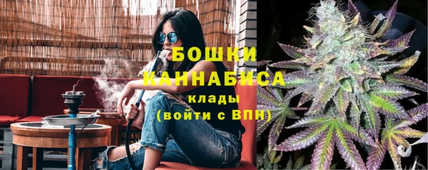 тгк Елизово