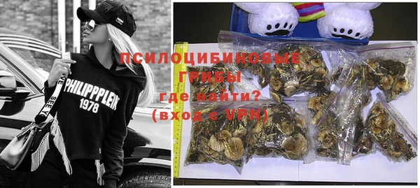тгк Елизово