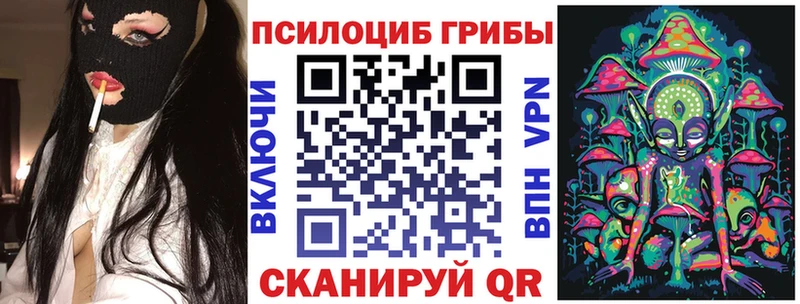 Купить закладки  Каргат  Галлюциногенные грибы мухоморы 